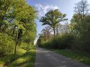 D91, forêt de Réchicourt